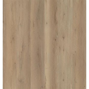 Ambiant PVC 6096182219 Vivero Dryback Naturel Oak